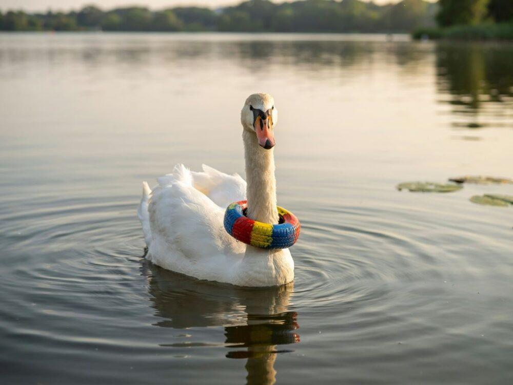artystyczne rękodzieło z opon
